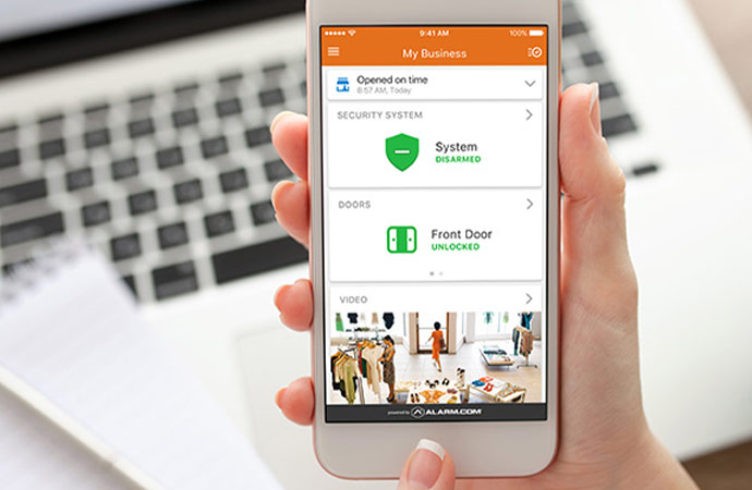 ideo Verified Alarm Event